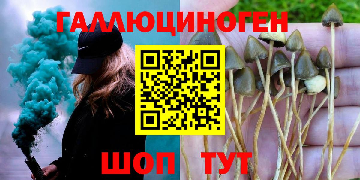 купить наркоту  Псилоцибиновые грибы прущие грибы  Галлюциногенные грибы Magic Shrooms  Вход с VPN  Топки 
