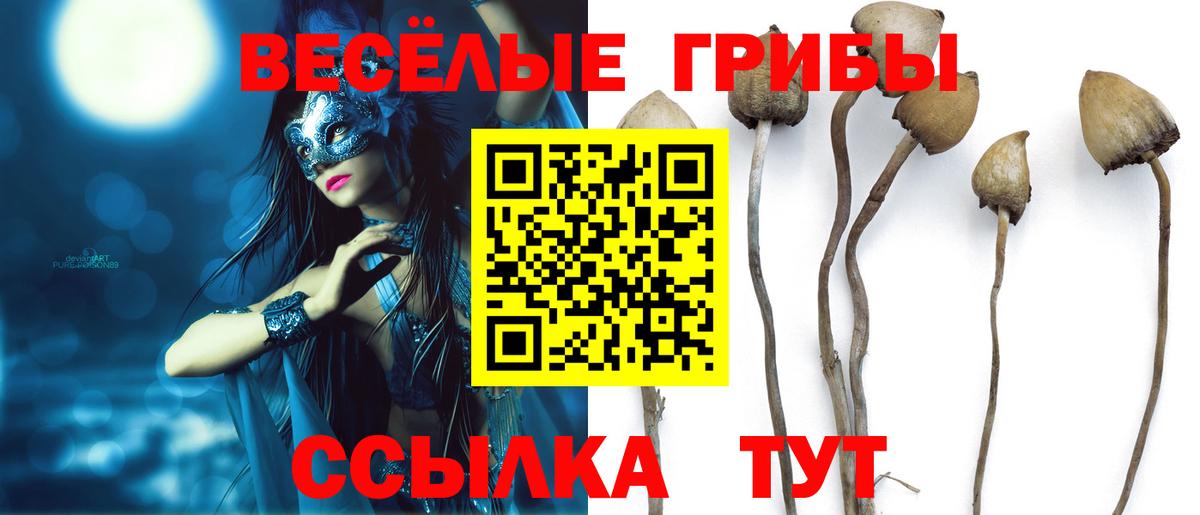 Галлюциногенные грибы Magic Shrooms Топки
